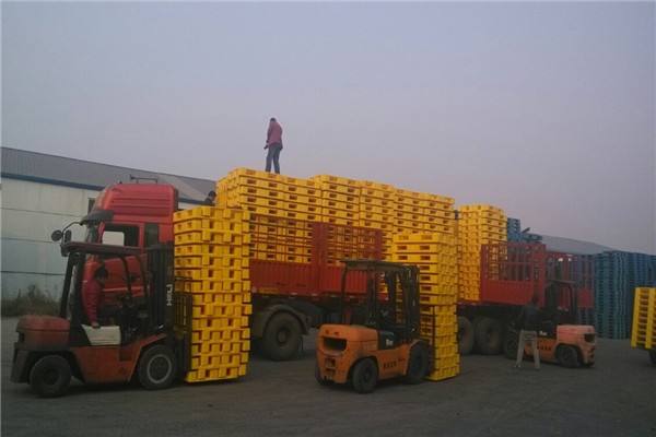 ��܇���\(y��n)�����бP(p��n)